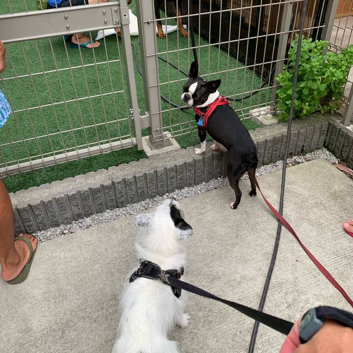 09cdf717 8036 4e78 9610 1ff976e02489 1720513495098