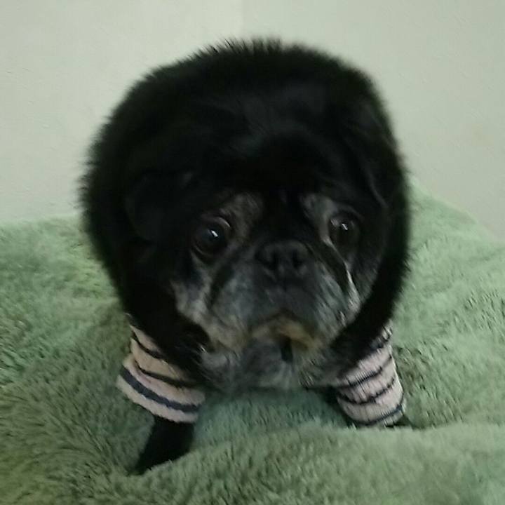 09ce00d9 e2df 4317 8209 fd215801a403 1540742816510