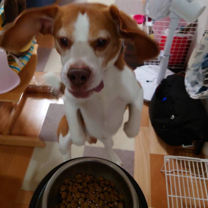 09ce14aa ec19 4edc 81a5 644a98e0cf52 1661074442619