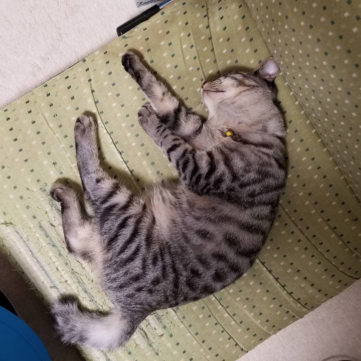 09ce19ca aed1 45ef 869d d2ea4e638e62 1671449801698