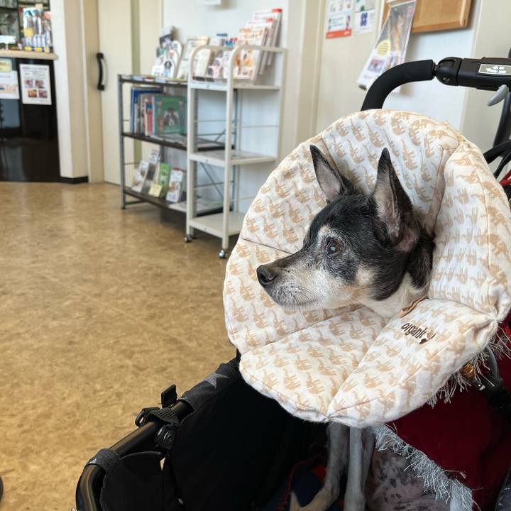 09ce26f6 d009 4764 82a4 235cc7fe64ec 1640399205684