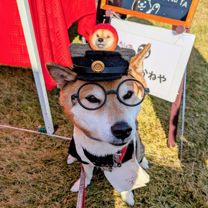 09ce2f6c 3a37 4c32 944c eb9c17443e04 1763281928337