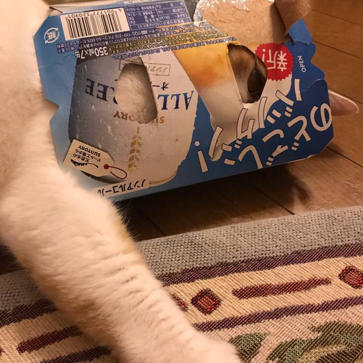 09ce3e27 2d35 44da 9b35 357175a3220c 1565354359355