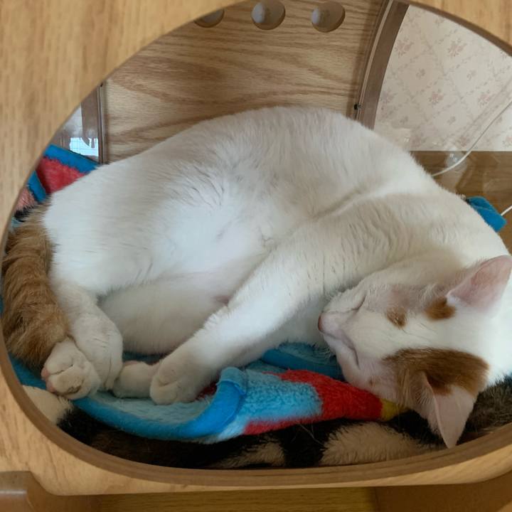 09ce663b 16a2 40e4 b610 544f83dfa357 1634160792491