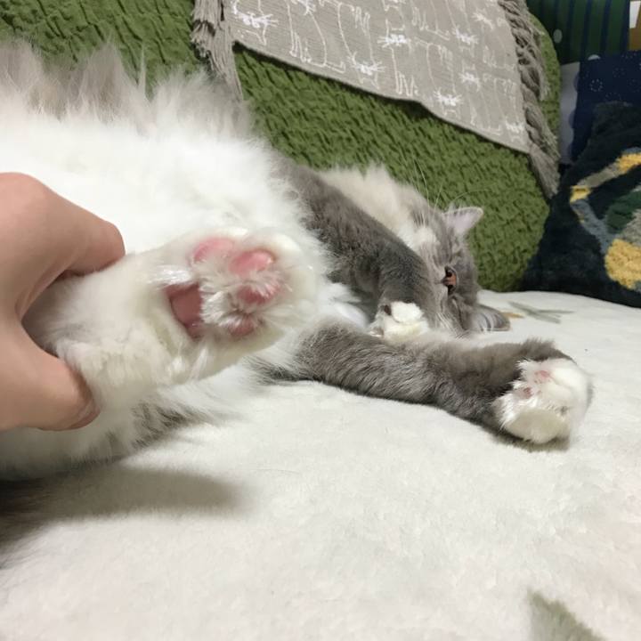 09ce8c96 6e39 42f0 98ae abdbecfee159 1512384537916