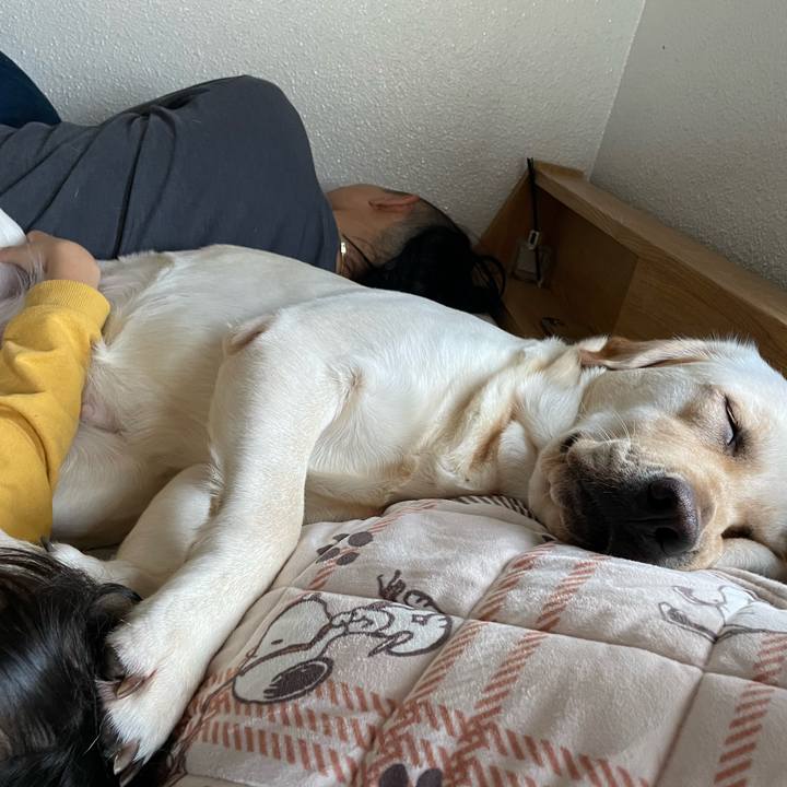 09cedca1 e52f 4c17 8dfe 4afa82a65bc9 1667184066269