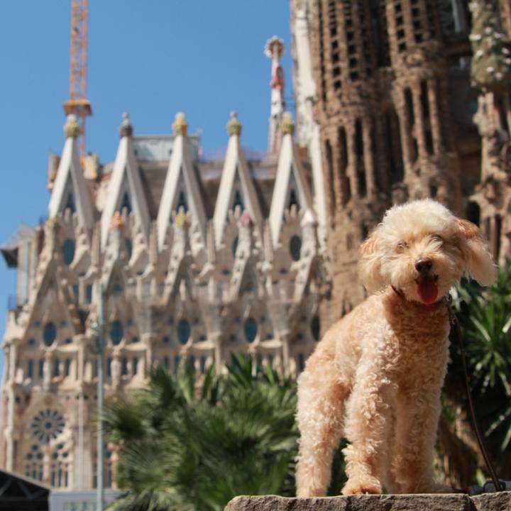 09cf042d f72c 4974 9e1d 286b360a14ec 1758634025319