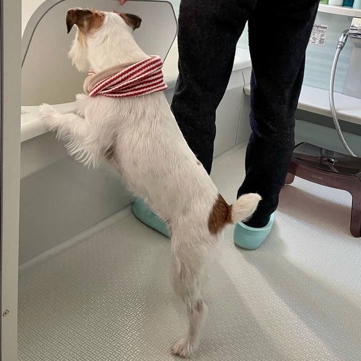 09cf074d 7606 4b74 b0ec e0680a4b5257 1671931657456