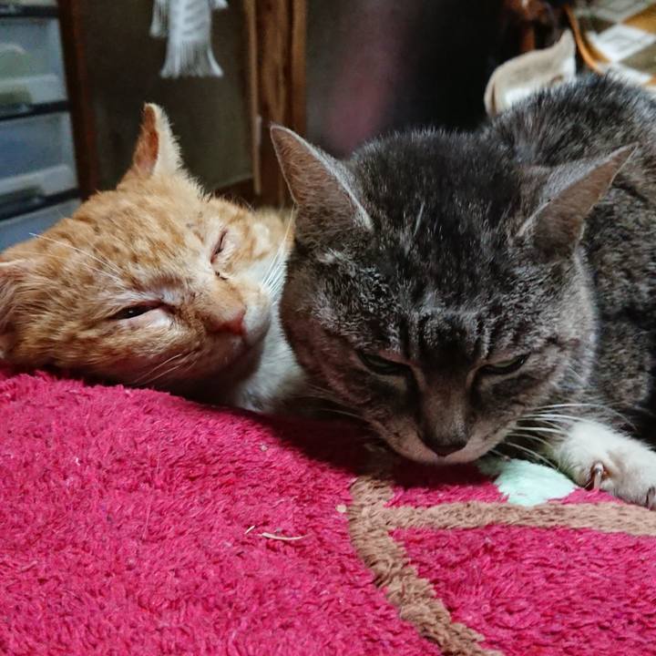 09cf4368 3e09 4dcb 85a8 a6663c09698d 1551006291993