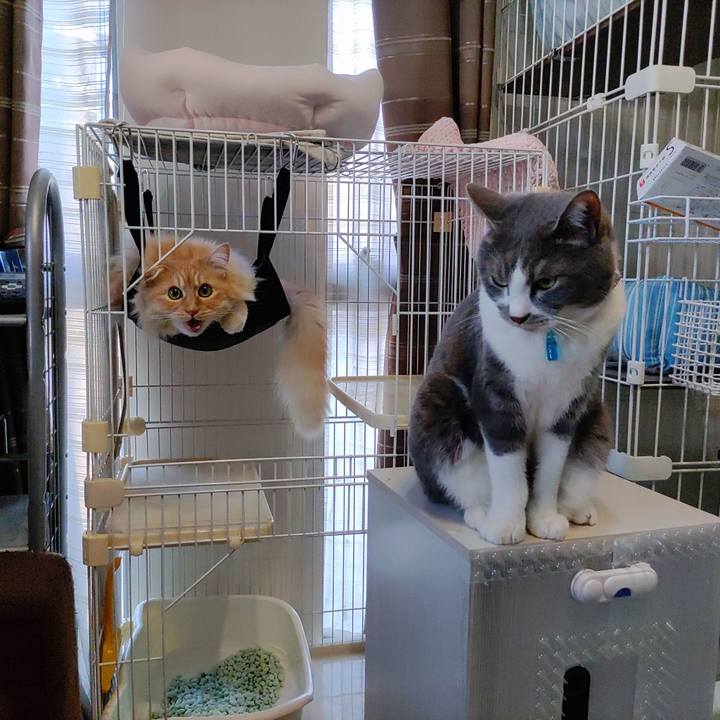 09cf53df d7c3 48c0 852d 838e7dcaab97 1714814739773