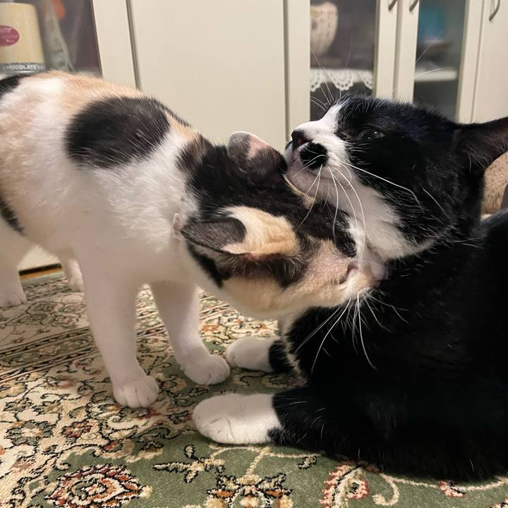 09cf57ef 5145 4d35 bb40 45aefbe200a3 1753698255280