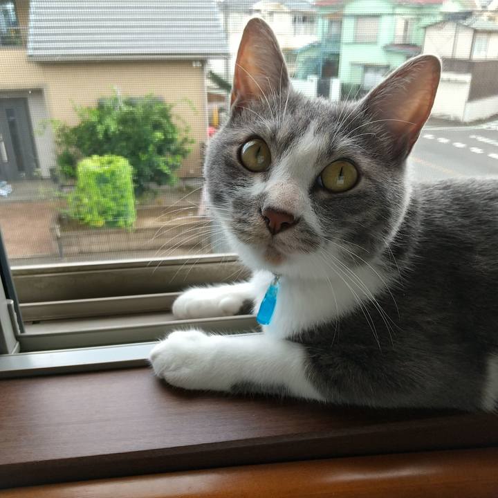 09cf6184 d2a4 4a22 b23a d59b6b2c70dd 1598487884900