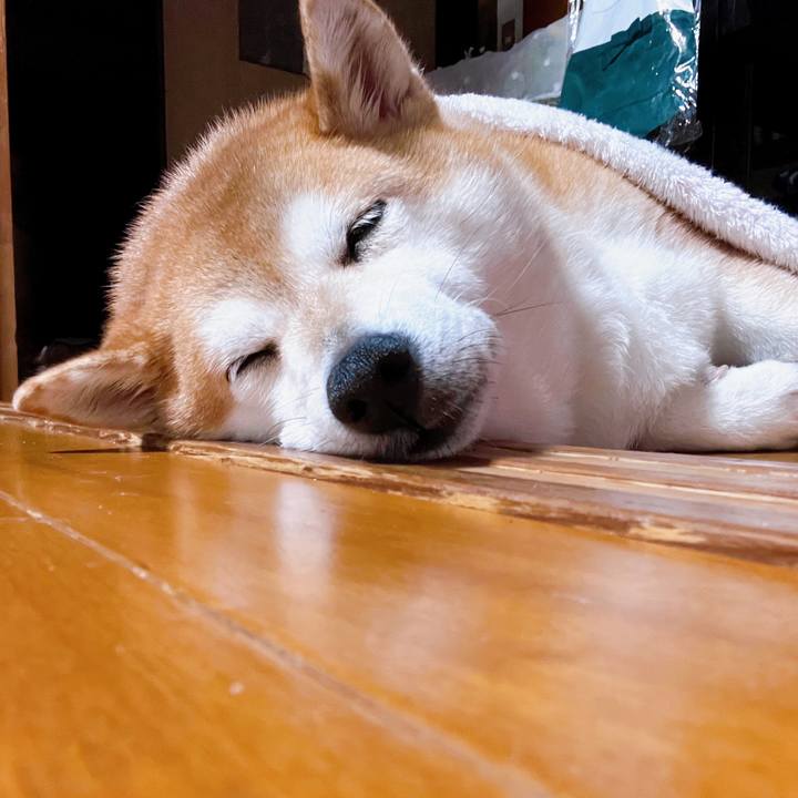 09cf74dd 3d49 4bd7 b913 3224d1880a75 1694607032229