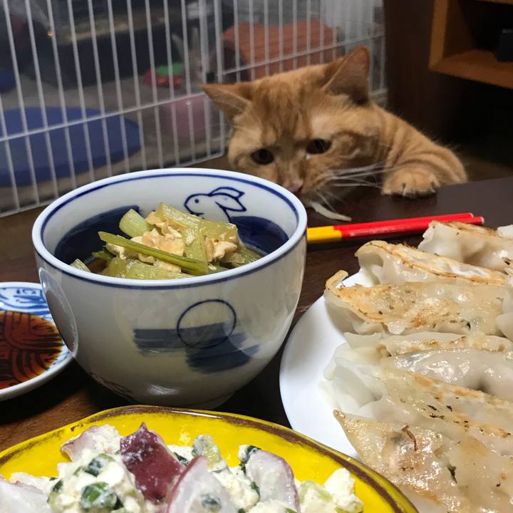 09cf760b 408b 4145 93e9 7a5345b96a23 1534513676953