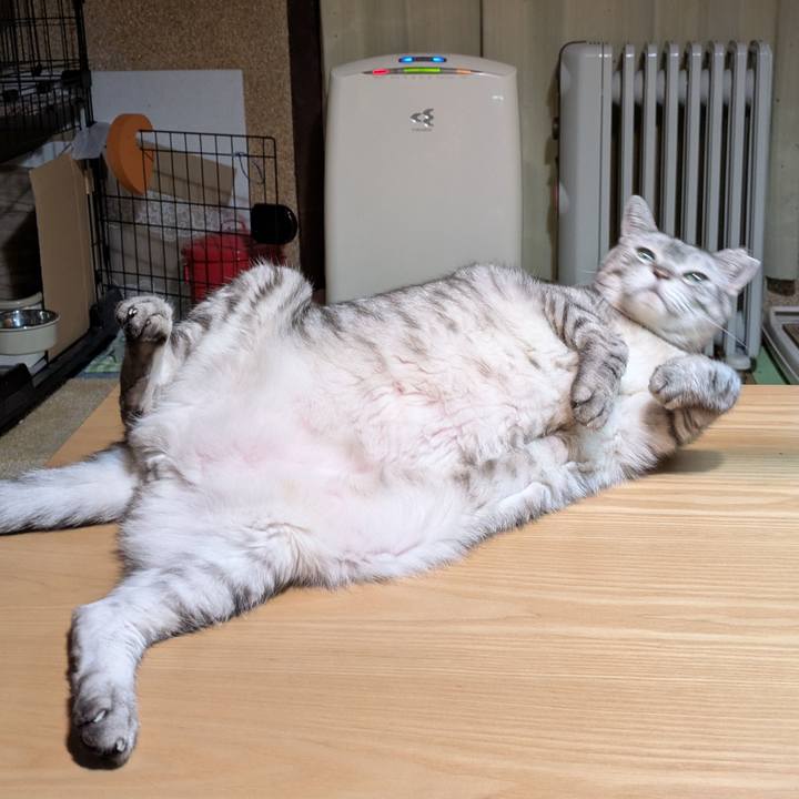 09cfb461 6122 4b5a 8be1 231d942b6a7a 1760374839597