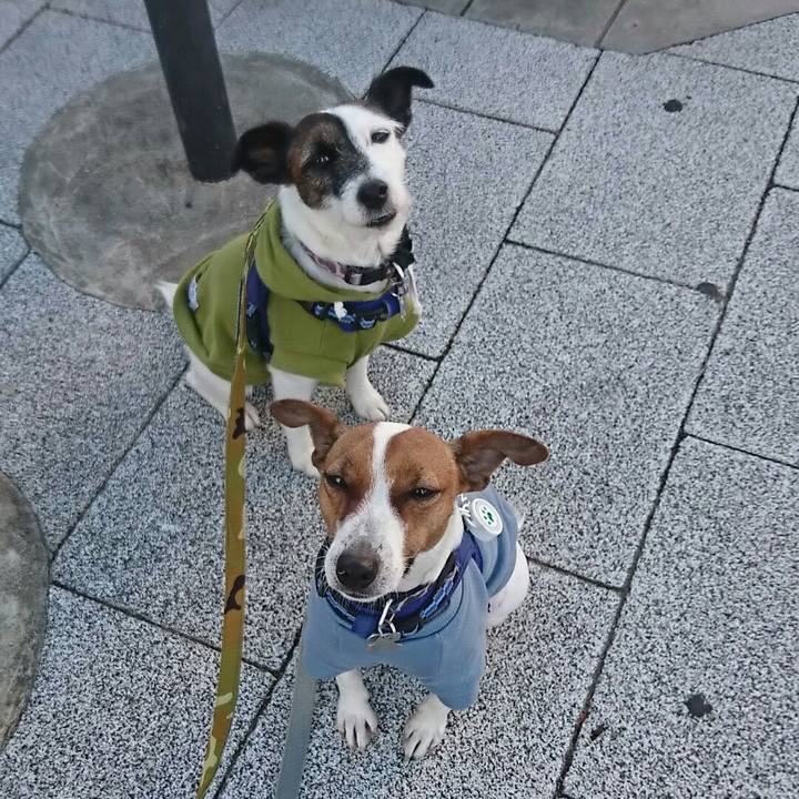 09cfc8e3 e42f 46a3 8330 00b378871a59 1541111785851