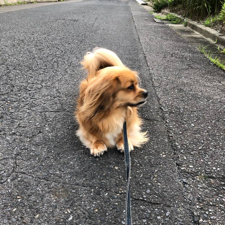 09cfd902 45f7 4587 a3c7 effc54796d90 1562277709301