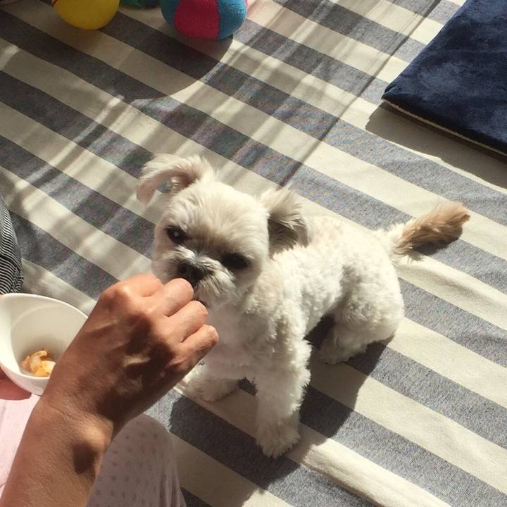 09cffbb1 10fc 43d3 9c05 c197f7dde617 1514788992531