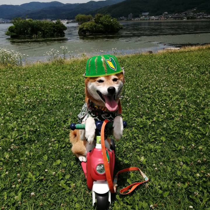 09d011d3 65fb 407d 9b41 010258e9d679 1688649925524