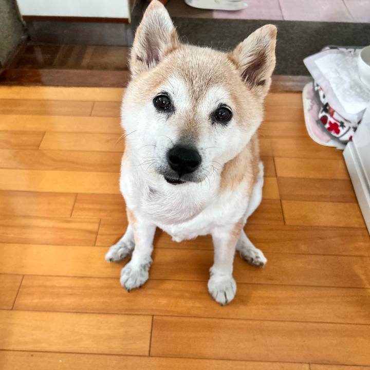 09d020ff 75f9 4c97 a306 27d8e0dec343 1751892131218