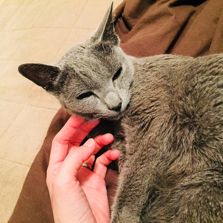 09d078ec 8d60 4b37 bca7 20030d42b964 1525337098268