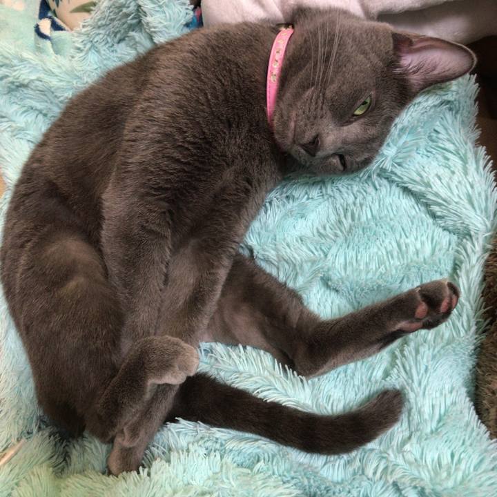 09d08cf5 bd36 44ef a7c7 91cd52cf2f93 1510053302911