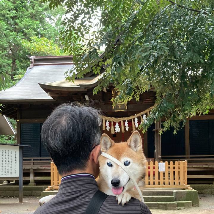 09d0a85c 8424 4037 8c94 299bb634efb1 1754967921881