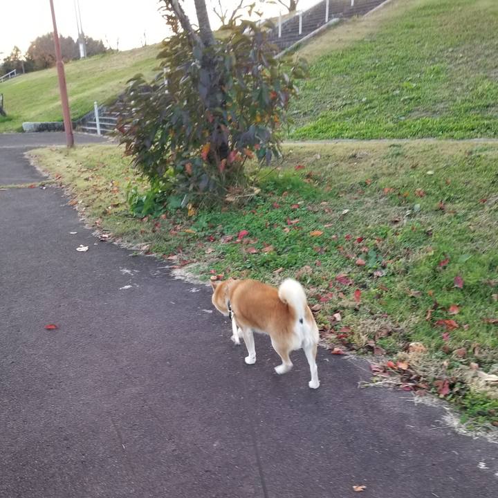 09d0b6d7 460b 452e b75d e7508b1f4b26 1667978591560