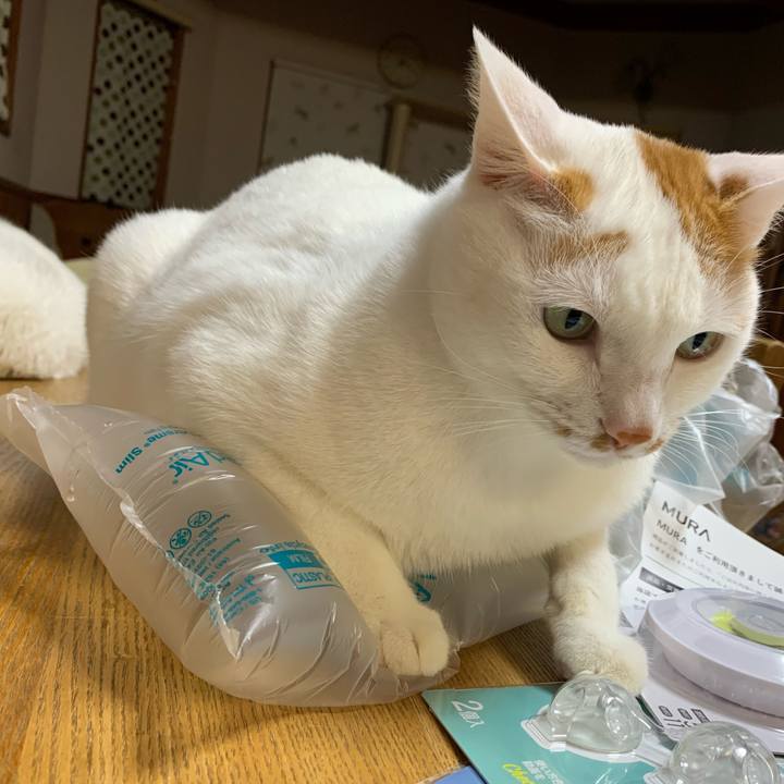 09d0d845 8493 490c 91dd 5742203fb6d7 1639061769660