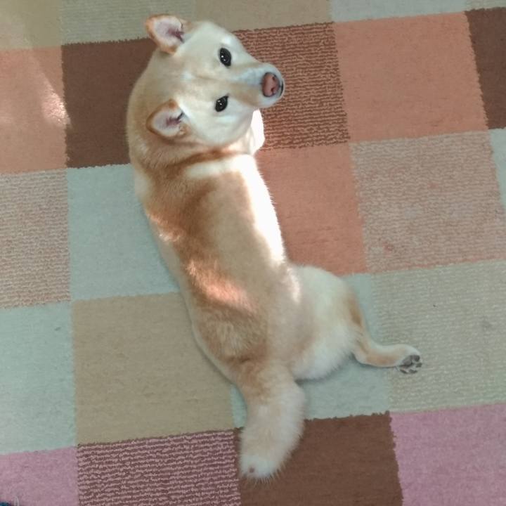 09d1084d 5f61 4a21 9776 77b357672168 1582326608876