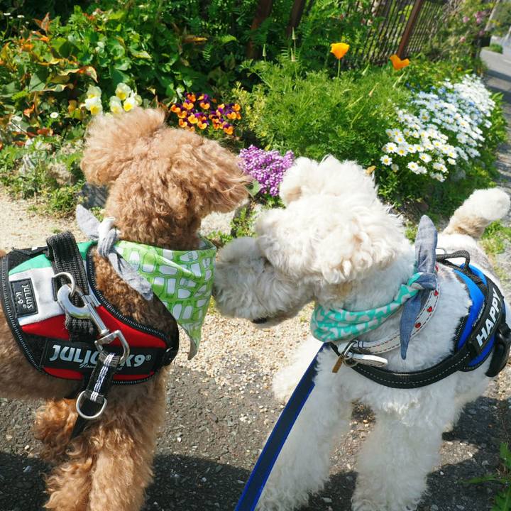 09d10a91 a71c 4c46 a673 4abe201f1e07 1525100769510