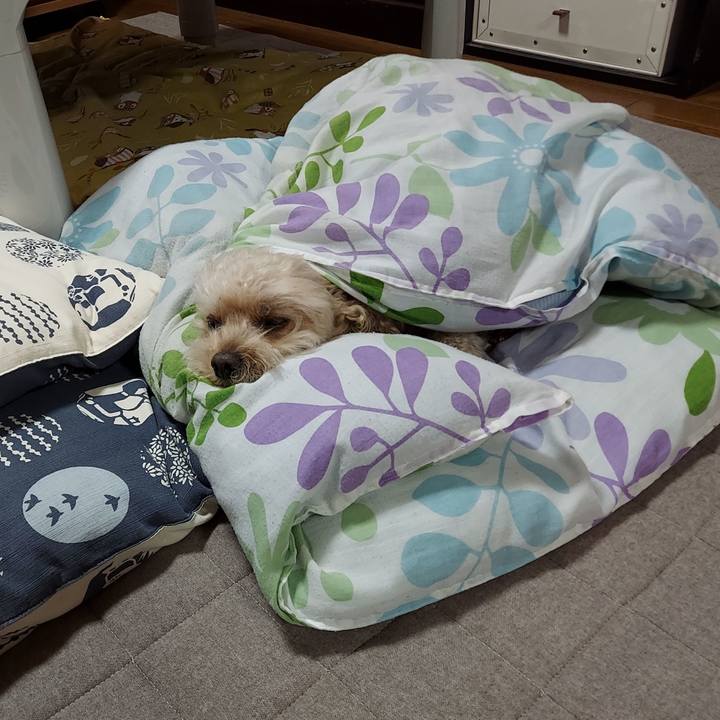 09d119dd 7c3f 48ed 906e 29098624113d 1665746996241