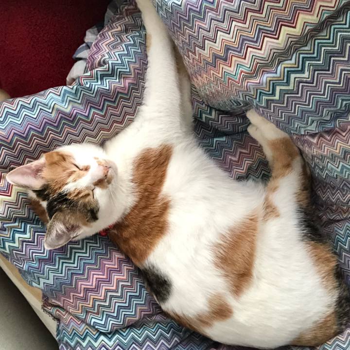 09d15439 9288 4f86 b948 2dd349bf9569 1581744019521