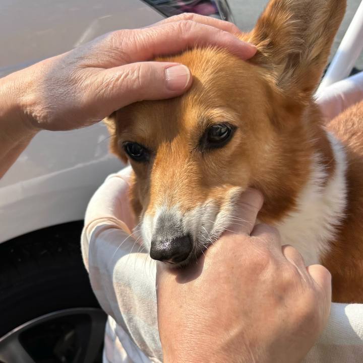 09d19814 195c 491b 875a 4bba7ddbb6a4 1742179427225