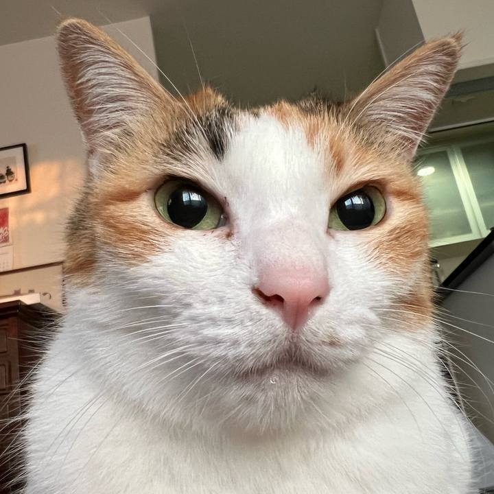 09d1da31 10f3 416a 9d03 4729d0b56b46 1762551982537