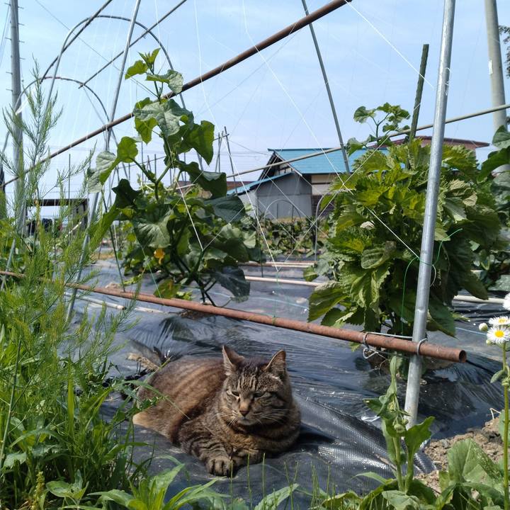 09d1dd8c 5727 4062 b447 f2232ff693ce 1718413251367