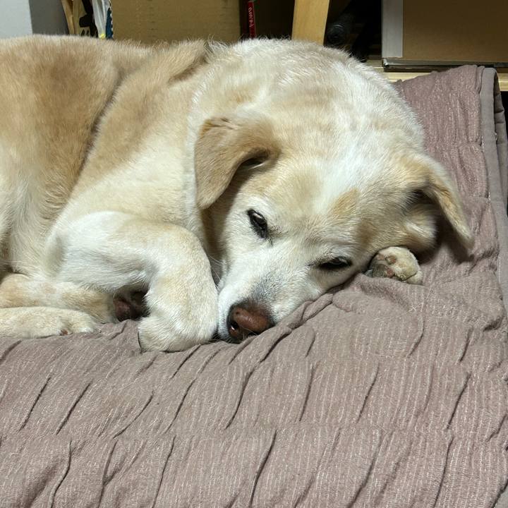 09d20859 60c8 4a96 97b2 6da1e7bfef28 1715513114833