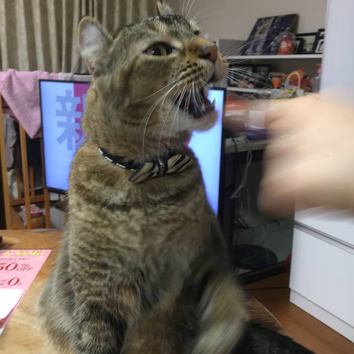 09d217e3 7949 48af b501 d33baf44ed6f 1599141105410