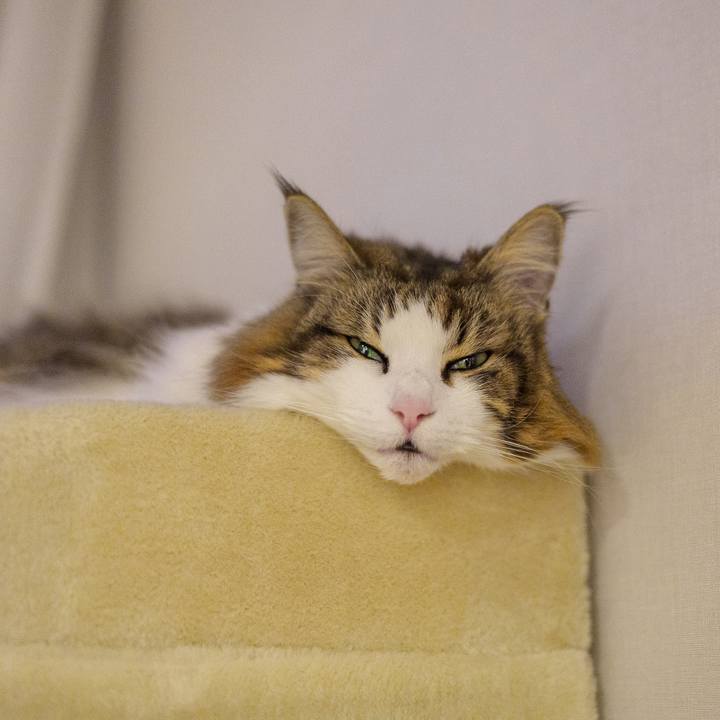 09d21ab2 c551 45bc ab40 bc77d3b19c7b 1710479637817