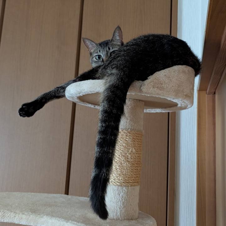 09d29db2 a31f 4c7b 9d09 d6ec89fe3927 1754985667600