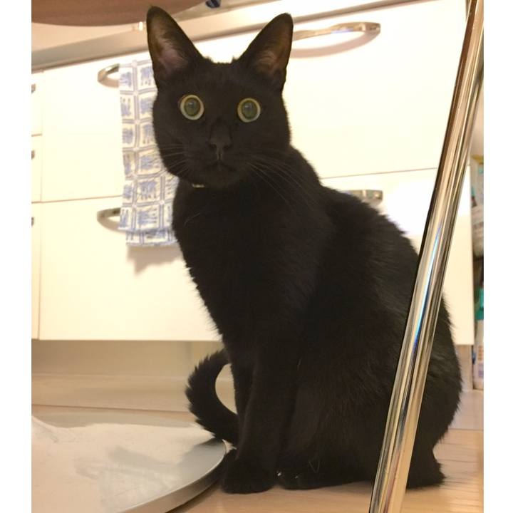 09d2ecdd c347 41b6 85bd 92bcdd8a8b97 1511441512294