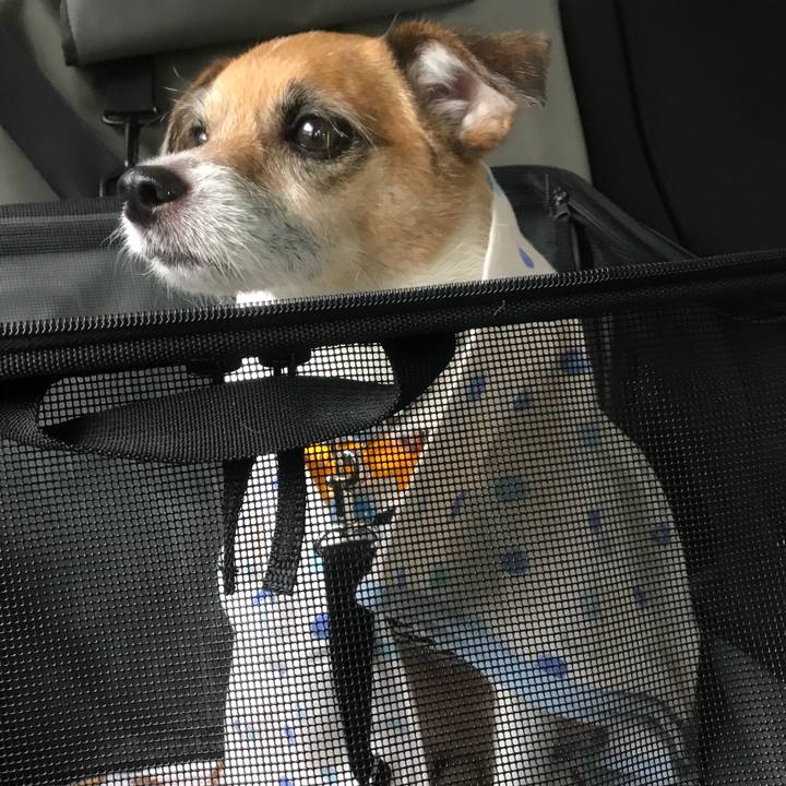 09d3331e c44a 4310 b869 6f35b7b4f281 1535349126121