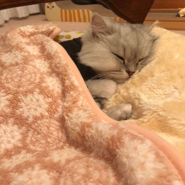 09d333f3 94f8 46b9 b004 cf65eaa89895 1523288195414