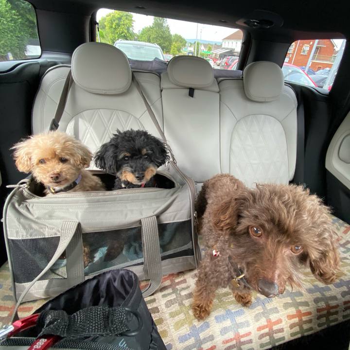 09d38ee0 1e3b 4e04 8f04 2fe071deec15 1720032164910