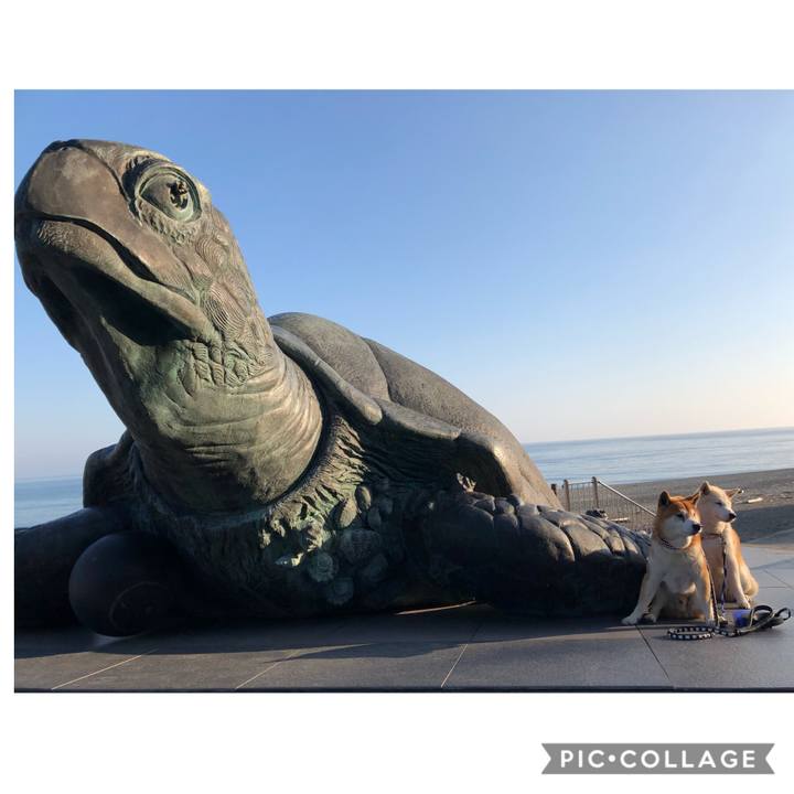 09d3af48 6e5c 4ade aa97 ef5f2f8012e2 1557199909745