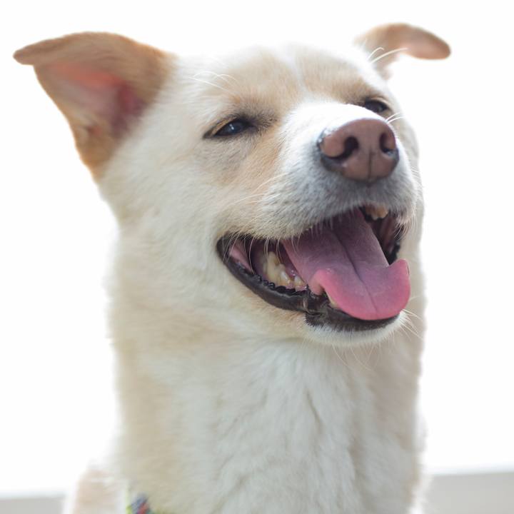 09d3f0f9 9821 44b0 a3d3 cffb52ca91f6 1528017364106