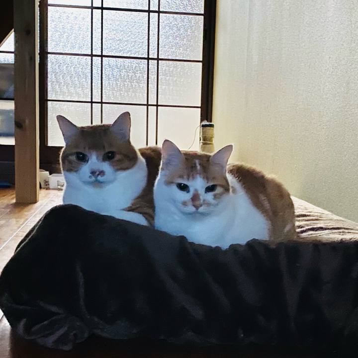 09d405ee bfd5 4733 960e 7ee657229f60 1669155360127