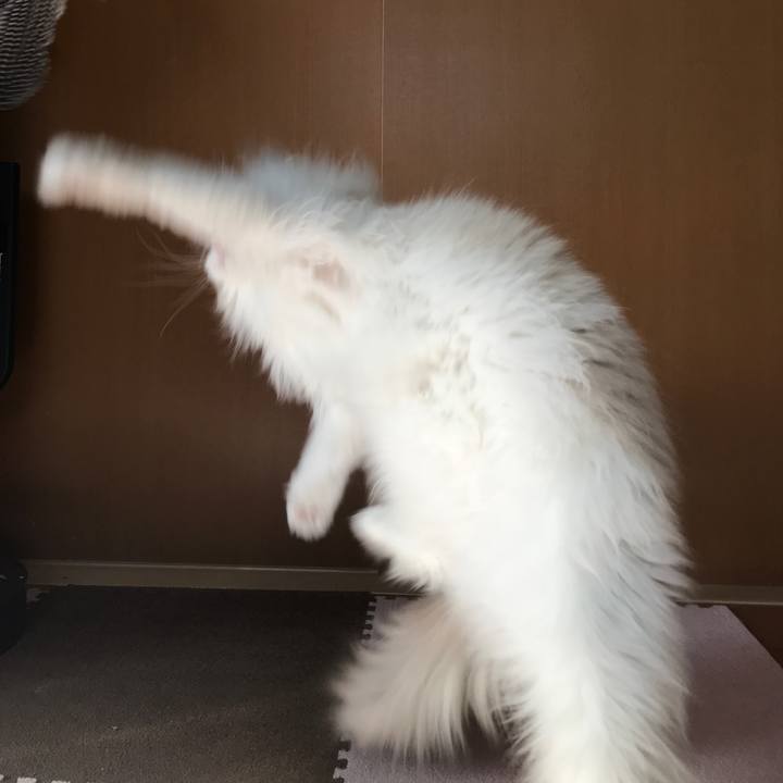 09d42cef 9eb6 473d 8ea5 484f10fb62ff 1584426382698