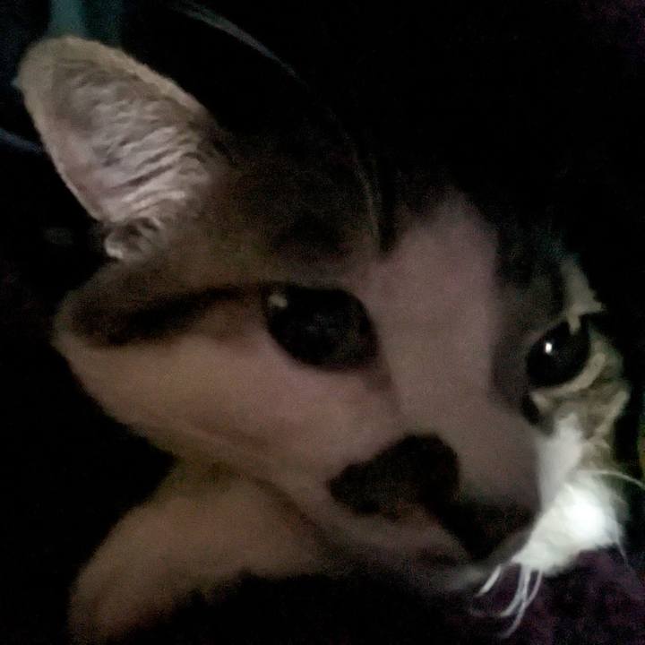 09d44ff1 beae 45b6 ab7c ec59058158b7 1705723183883