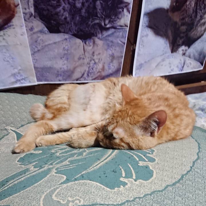 09d4e5cd 8107 43ad 9e82 1ba9d6bcd9eb 1657195609371